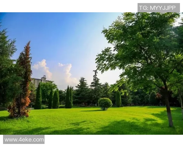 足球绿币助力环保运动开启绿色未来新篇章